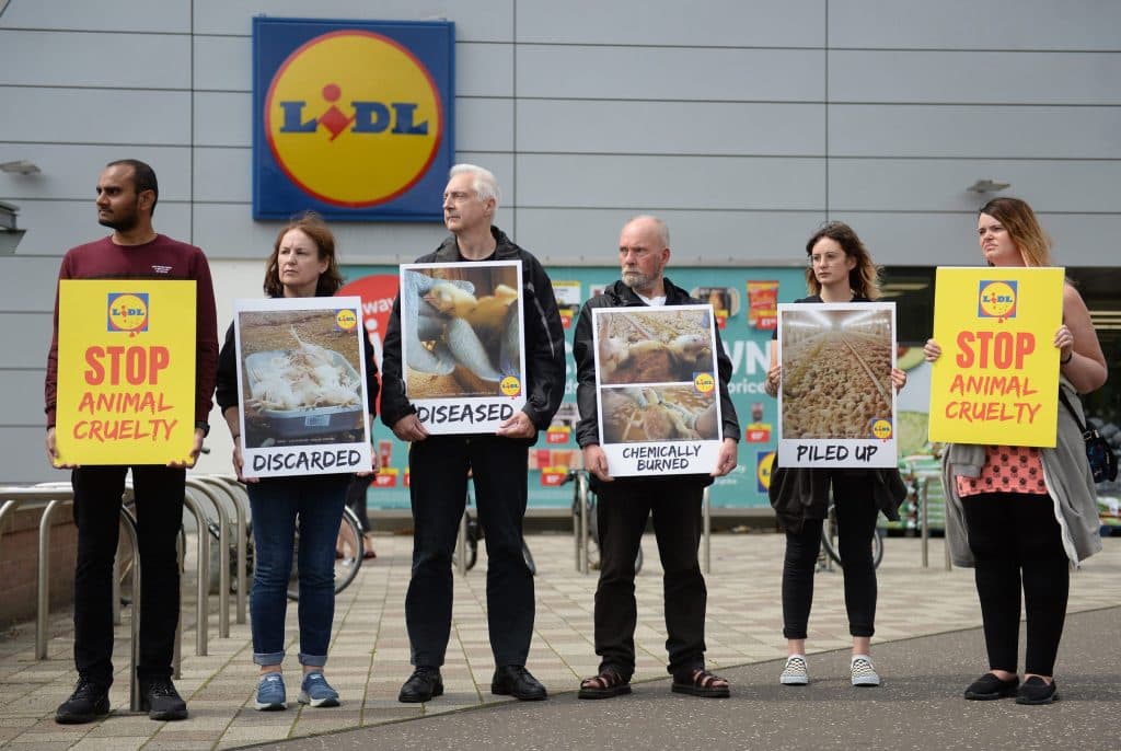 Six protesters stood in a line outside of a Lidl supermarket, with signs about frankenchickens.