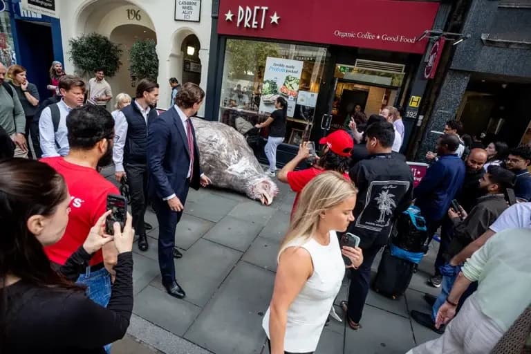 Onlookers take pictures of the Frankenwrap in Liverpool Street.