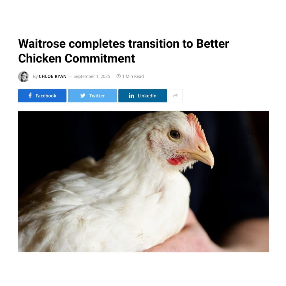 Article highlighting Waitrose's transition to slower growing chicken breeds.