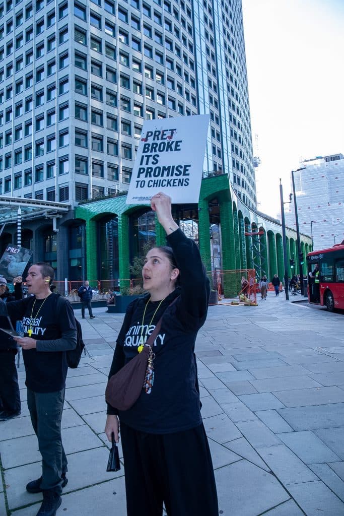 Demonstrator holding Pret Broke Its Promise to Chickens sign in London