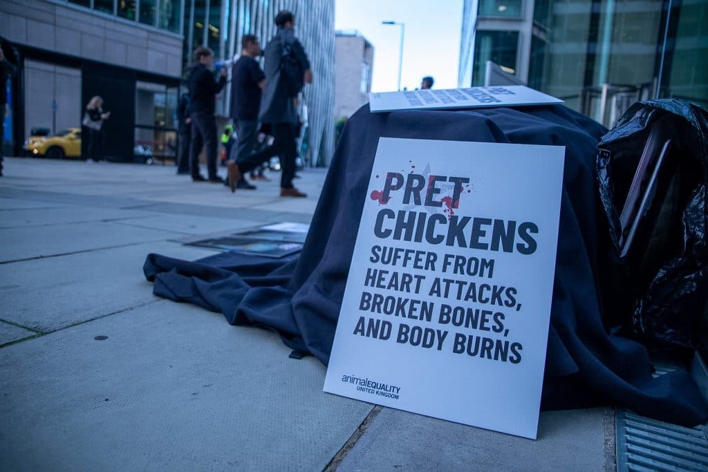Sign detailing the suffering of fast-growing frankenchickens